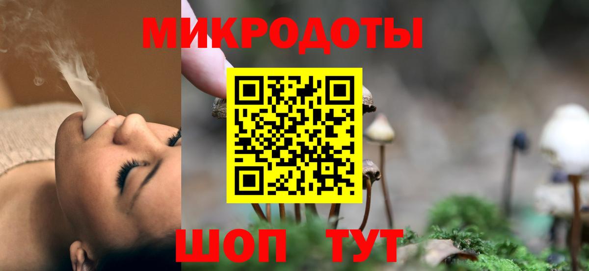 Псилоцибиновые грибы мицелий Новоуральск